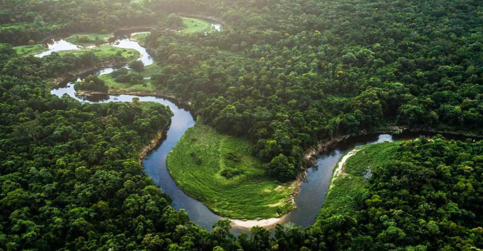 ブレテダンテクノロジー