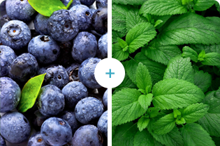 ブレテダンテクノロジー