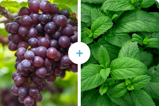 ブレテダンテクノロジー