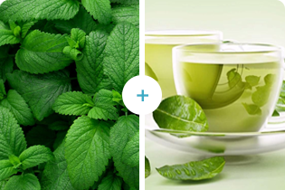 ブレテダンテクノロジー