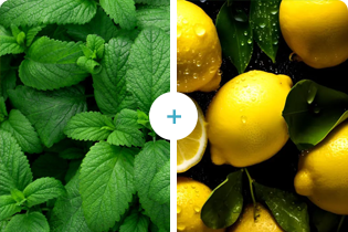 ブレテダンテクノロジー