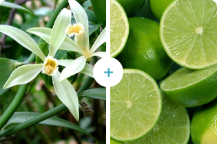 ブレテダンテクノロジー