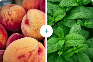 ブレテダンテクノロジー